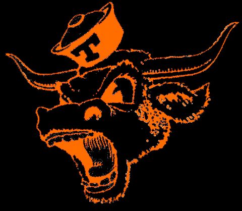 1993 Ford Bronco - This image shows a stylized cartoon drawing of a bull's head, rendered in orange outline.