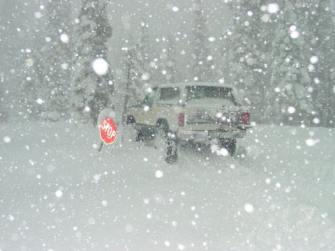 1986 Ford Bronco - A tan SUV is stopped in a blizzard next to a stop sign.
