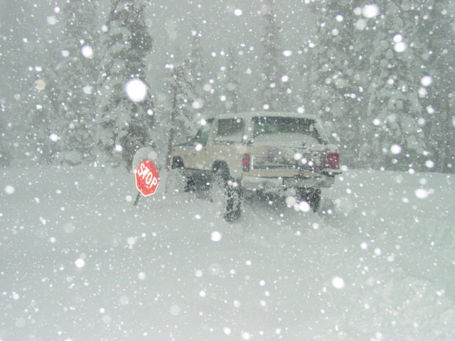 Tan SUV with a stop sign in a blizzard