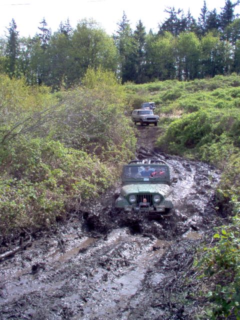 1979 Ford Bronco - Off-road vehicles navigate a challenging muddy track surrounded by dense vegetation and trees.