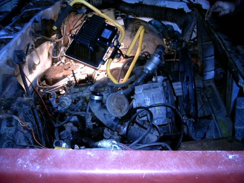 1982 Chevrolet S10 photo