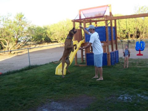 1981 Ford F-150 - A man plays with a dog on a slide while a child watches from a swing.