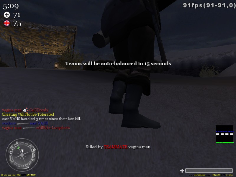 Video game screen showing player stats, chat log, and a compass