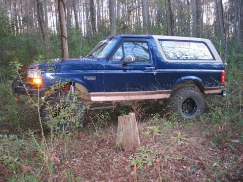 1995 Ford Bronco - A blue Ford Bronco with a tan top is stuck in a wooded area, its tires partially sunk into the ground.