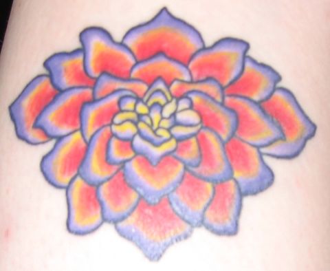 1997 Ford Probe - Tattoo #2