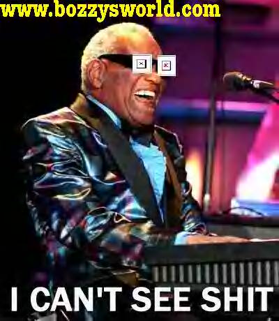 1995 Ford Mustang - Ray Charles performs on stage, his iconic sunglasses obscuring his eyes as he plays the piano.
