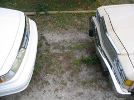 1997 Ford Crown Victoria - Two cars, a white 1997 Ford Crown Victoria and a tan car, parked closely together.