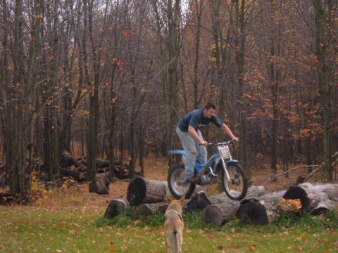 1985 Ford F-150 - Rider attempts an obstacle course on a dirt bike in a forest setting, observed by a dog.