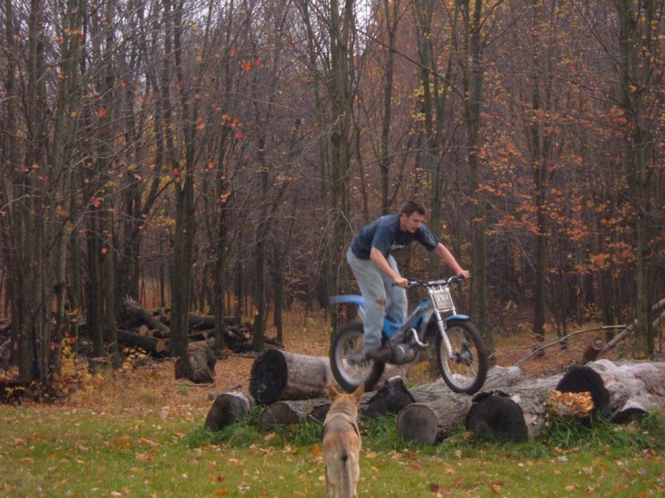 Man on a blue dirt bike jumping over logs in a wooded area, dog in foreground