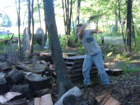 1985 Ford F-150 - A person is chopping firewood in a wooded area, surrounded by cut logs and trees.