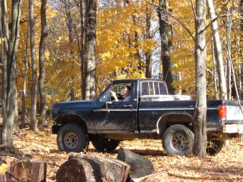 1985 Ford F-150 - A black pickup truck navigates a wooded area during the fall season, with the driver visible behind the wheel.