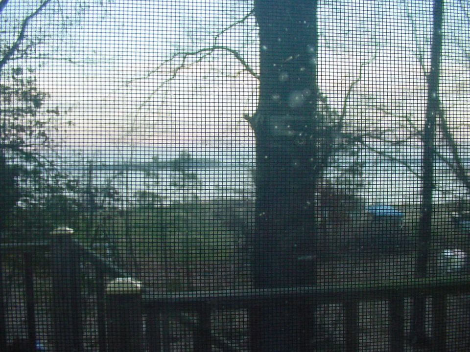 View through a screen door of trees, a body of water, and distant structures under a hazy sky