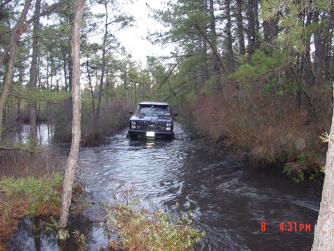1995 Dodge 1500 - A dark pickup truck navigates a flooded path surrounded by trees and brush.