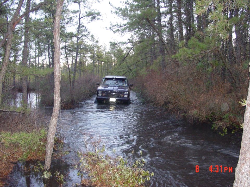Dark pickup truck driving through shallow water in a wooded area