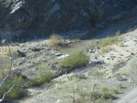1990 Ford Bronco - rocky desert canyon wash with a shallow stream, scattered green brush and small white marker posts below a steep rock face.