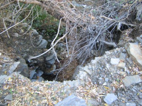 1990 Ford Bronco - rocky eroded creek bed filled with tangled dead branches and a small trickle of water cutting through the stones.