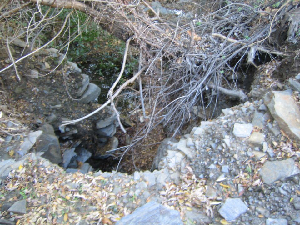 Eroded rocky creek bed with tangled dead branches and a trickle of water