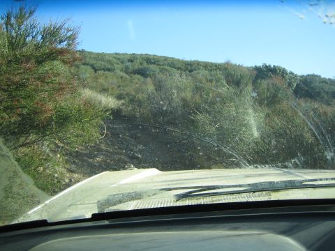 1990 Ford Bronco - View through a dusty windshield over a tan vehicle hood toward a brush-covered hillside under blue sky.