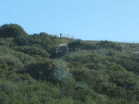 1990 Ford Bronco - light-colored SUV crests a steep brush-covered hillside trail under a clear blue sky.