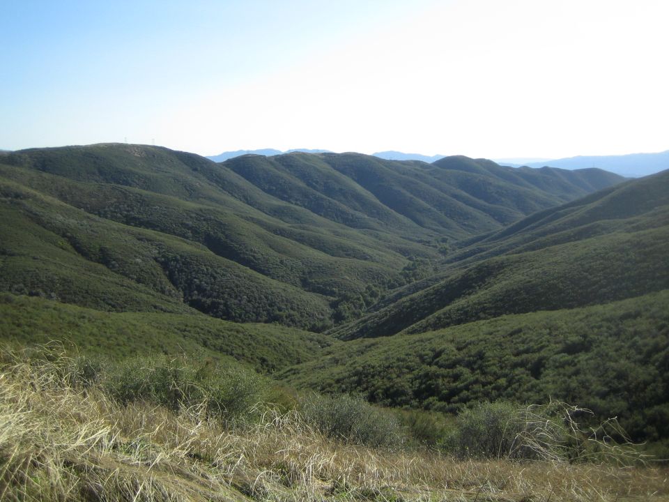 Rolling green forested hills and valleys under a hazy blue sky