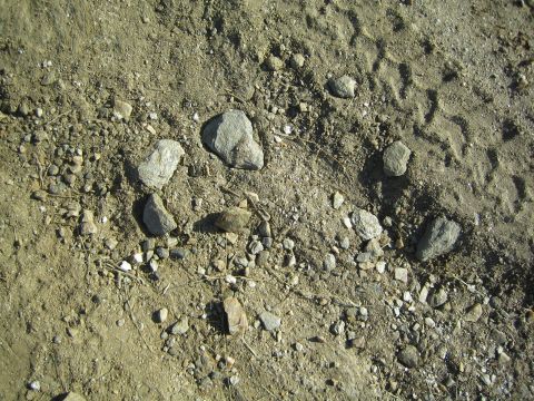 1990 Ford Bronco - Close-up of sunlit rocky, pebbly dirt ground scattered with small stones.