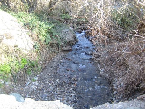 1990 Ford Bronco - small rocky creek of clear running water flows between brushy banks, with bare branches overhanging the streambed.