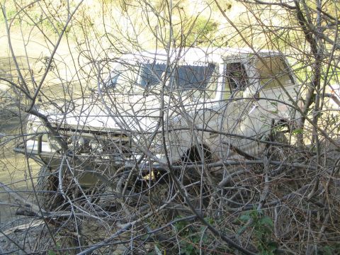 1990 Ford Bronco - light-colored truck or SUV sits partly obscured behind a dense tangle of bare branches and brush.