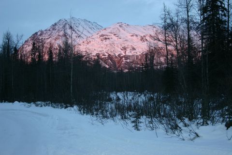 2003 Jeep TJ - The sun casts a pink glow on snow-covered mountains behind a dark forest and snowy foreground.
