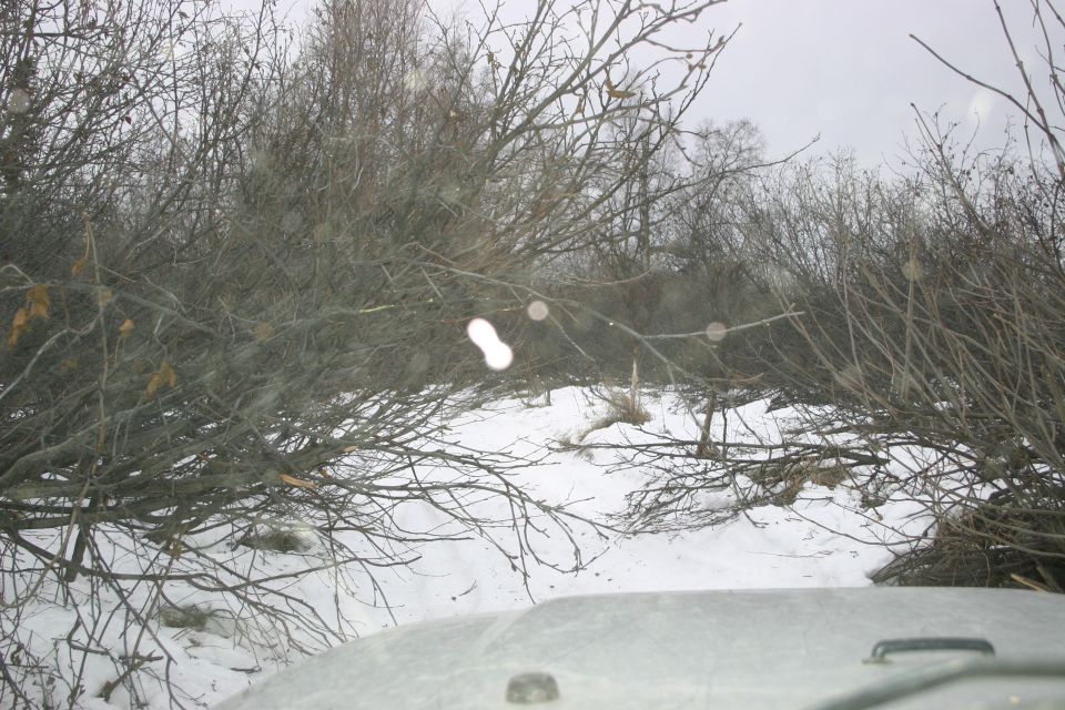 Hood of a vehicle looking out at a snowy path surrounded by bare trees and brush