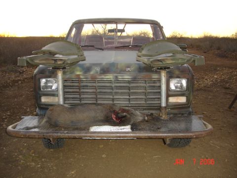 1980 Ford Bronco photo