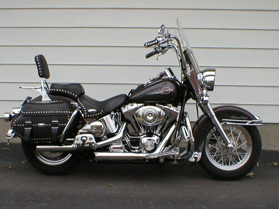 Dark brown Harley-Davidson motorcycle with studded saddlebags and a windshield, viewed from the side