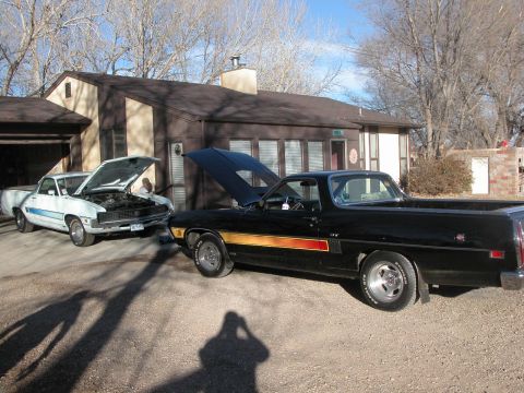 1972 Ford Ranchero - Two Ford Rancheros, one black and one white, are parked in a driveway with hoods open.