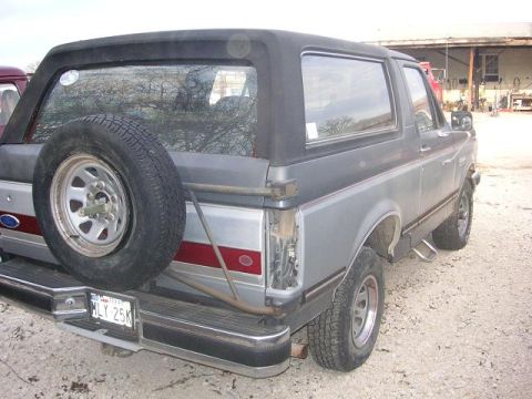 1990 Ford Bronco - This 1990 Ford Bronco is viewed from the rear, showing its spare tire and distinctive red stripe detail.