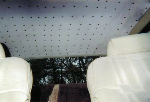 1982 Ford Crown Victoria LTD - My Chocolate Chip Cookie Headliner