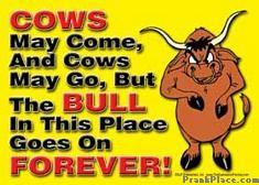 1978 Ford F-250 - Humorous sign with a cartoon bull and a saying about permanence.