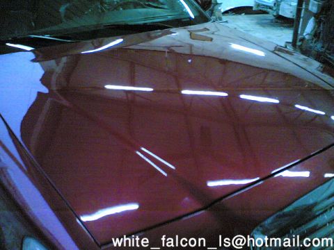 1999 Mercury Grand Marquis - Reflections on the hood of a red car, with "white_falcon_ls" and "SUPERMOTORS" visible in the lower right corner.