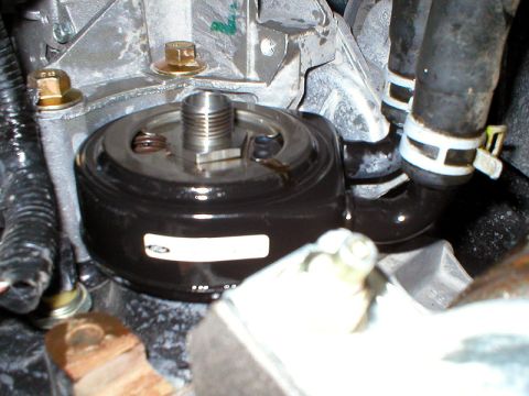 2004 Ford Focus - Oil Cooler
