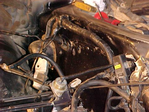1973 Ford Ranchero - Engine bay wiring and components, including a fuse box and vacuum lines. Tools are present in the background.