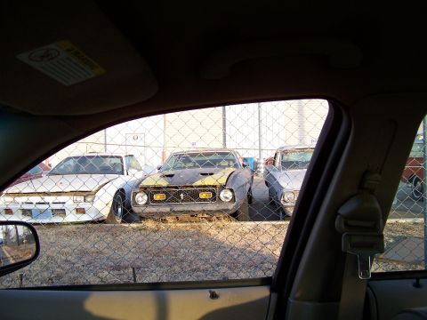 1979 Ford Ranchero - Three cars are parked behind a chain-link fence, with the middle car being a classic Ford Mustang Mach 1.