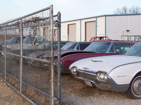 1979 Ford Ranchero - Several classic cars, including a white 1958 Ford Thunderbird, are parked outside a building.