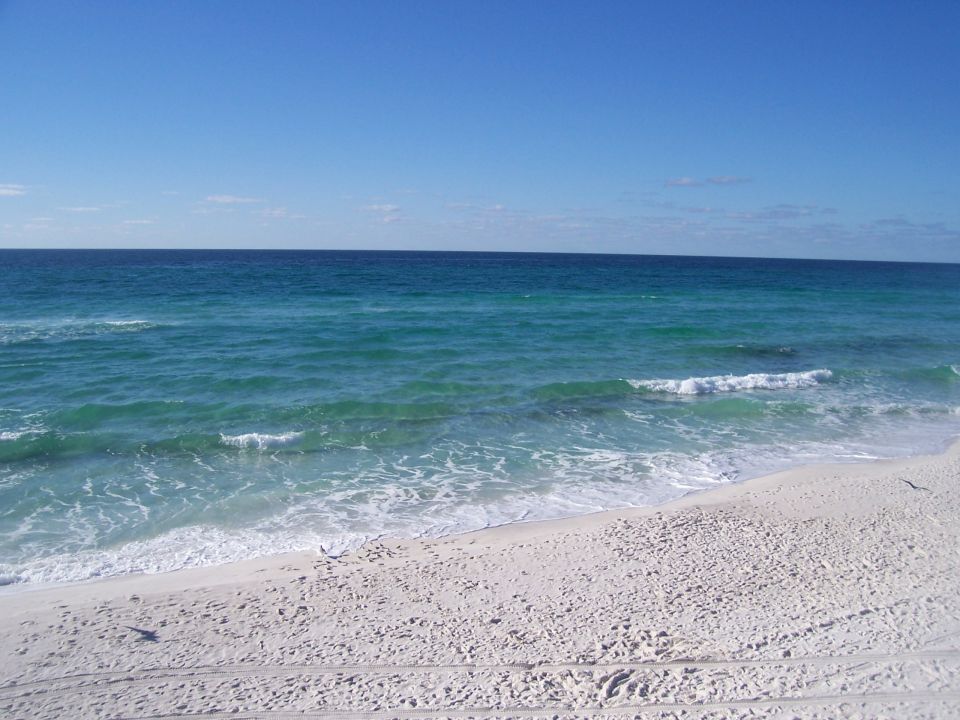 Beach with white sand, turquoise water, and blue sky. A small bird is visible on the sand