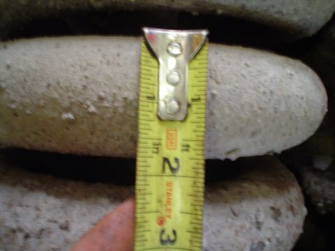 1966 International School Bus - A tape measure is used to measure the diameter of stacked cylindrical objects.