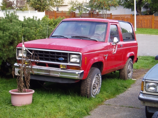 Red Ford Bronco II parked on grass next to another vehicle. A dead plant in a pot is in front of it