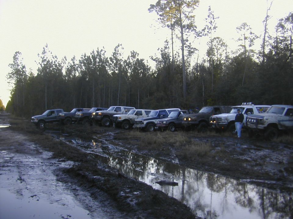 Row of pickups and SUVs parked at edge of muddy field beside pine trees at dusk