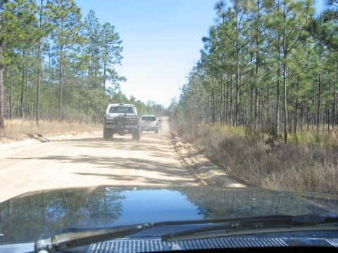 1995 Ford Bronco - Several SUVs travel down a dirt road in a wooded area on a clear day.