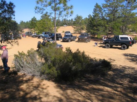 1995 Ford Bronco - Several off-road vehicles are gathered on a sandy track surrounded by trees under a clear blue sky.