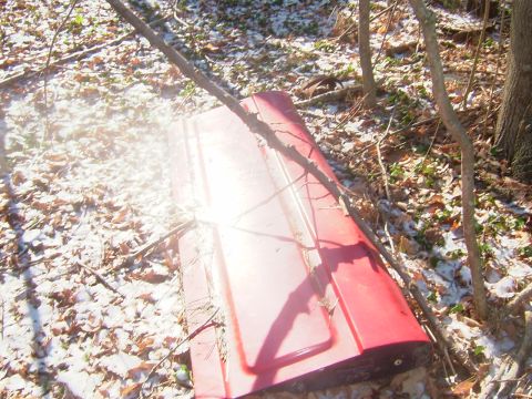 1984 Ford Bronco - A red car door rests on the forest floor, partially obscured by branches and fallen leaves.