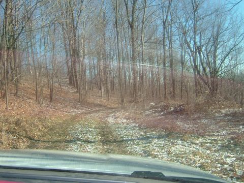 1984 Ford Bronco - View from inside a vehicle looking out at a snowy, wooded landscape during daytime.