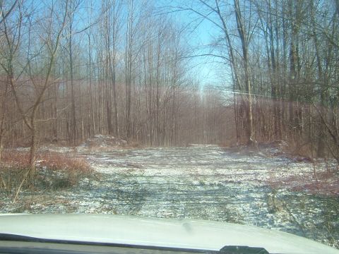 1984 Ford Bronco - A snowy forest road stretches into the distance under a clear blue sky.