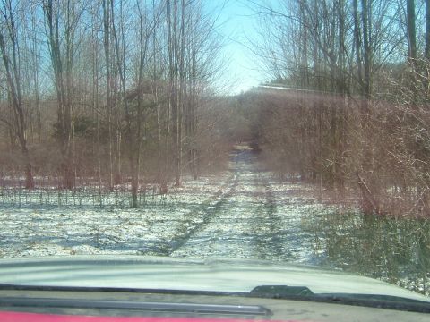 1984 Ford Bronco - View from inside a vehicle looking out at a snowy, tree-lined road, with the Supermotors logo visible on the dashboard.